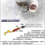 路亚软饵