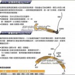 路亚软饵