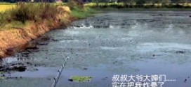 雷强视频：517路亚 中秋佳节 六六大顺 彩蛋不错！第6集