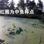 路亚黑鱼标点